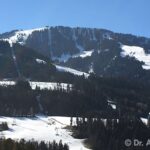 Docente al Corso Internazionale di Istruzione sulla Protesi della Caviglia